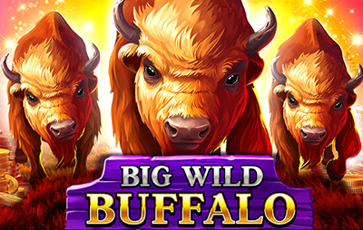 Big Wild Buffalo