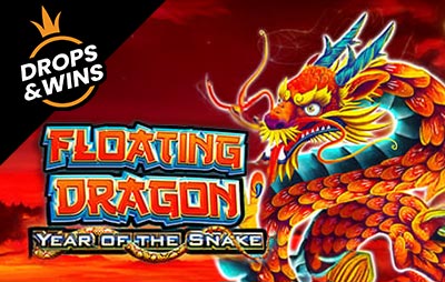 Floating Dragon - Year of the Snake